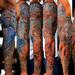 Tattoos - Freehand Underwater sleeve - 65033